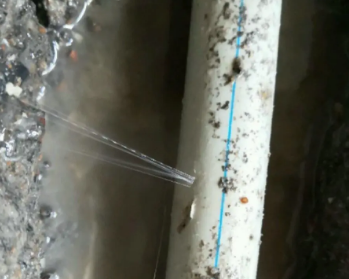 福海卫生间测漏水多少钱